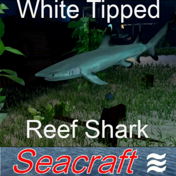Second Life Marketplace - 1 prim Animated White Tip Reef Shark v4.0